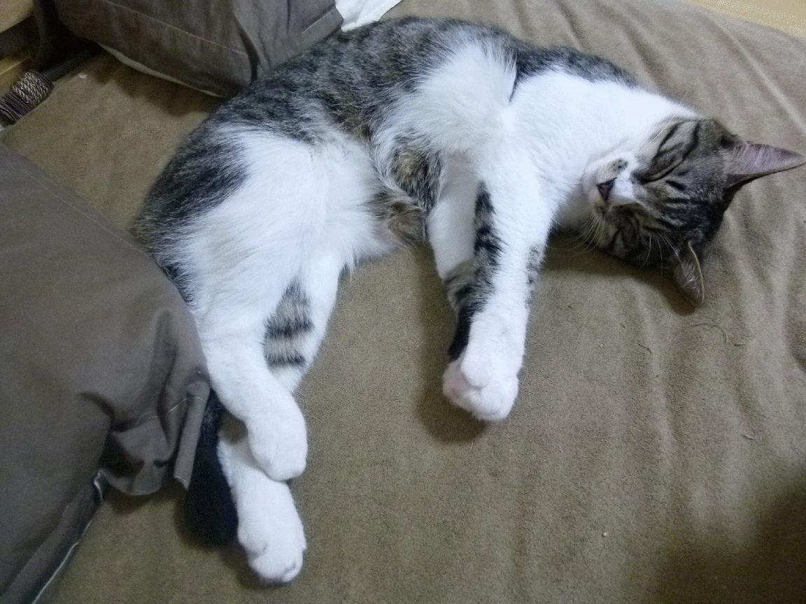 “逆风翻盘：令人热血沸腾的经典逆袭”，逆风翻盘的典故