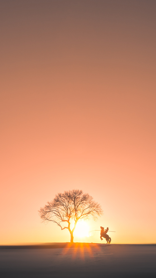 “逆风翻盘：令人热血沸腾的经典逆袭”，逆风翻盘的典故