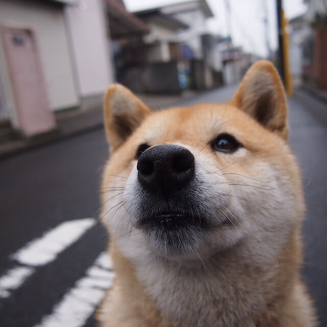 传奇“边锋”巅峰对决，谁是最强？，传奇边前卫
