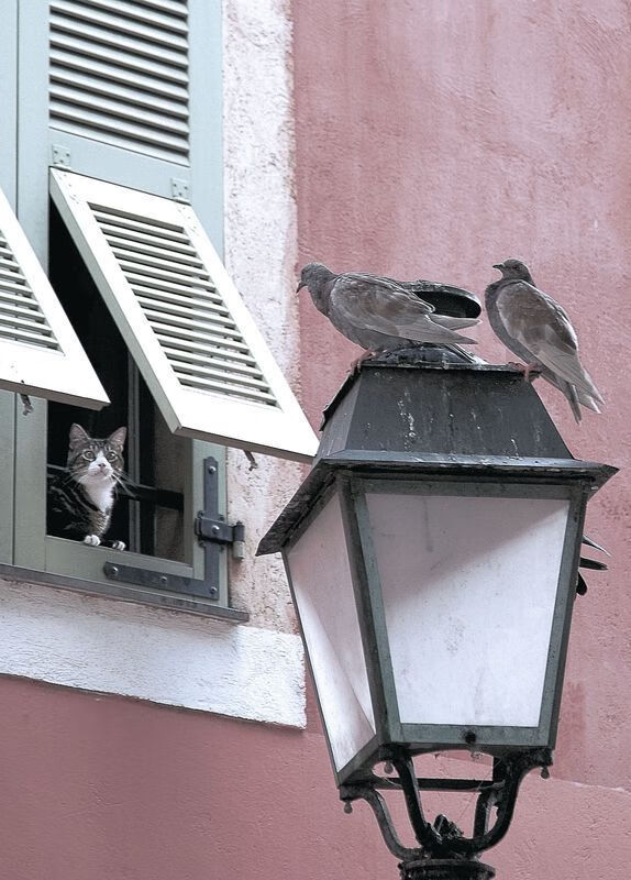 历史对比：今季积分变化与往年同期分析，年度积分排名更新