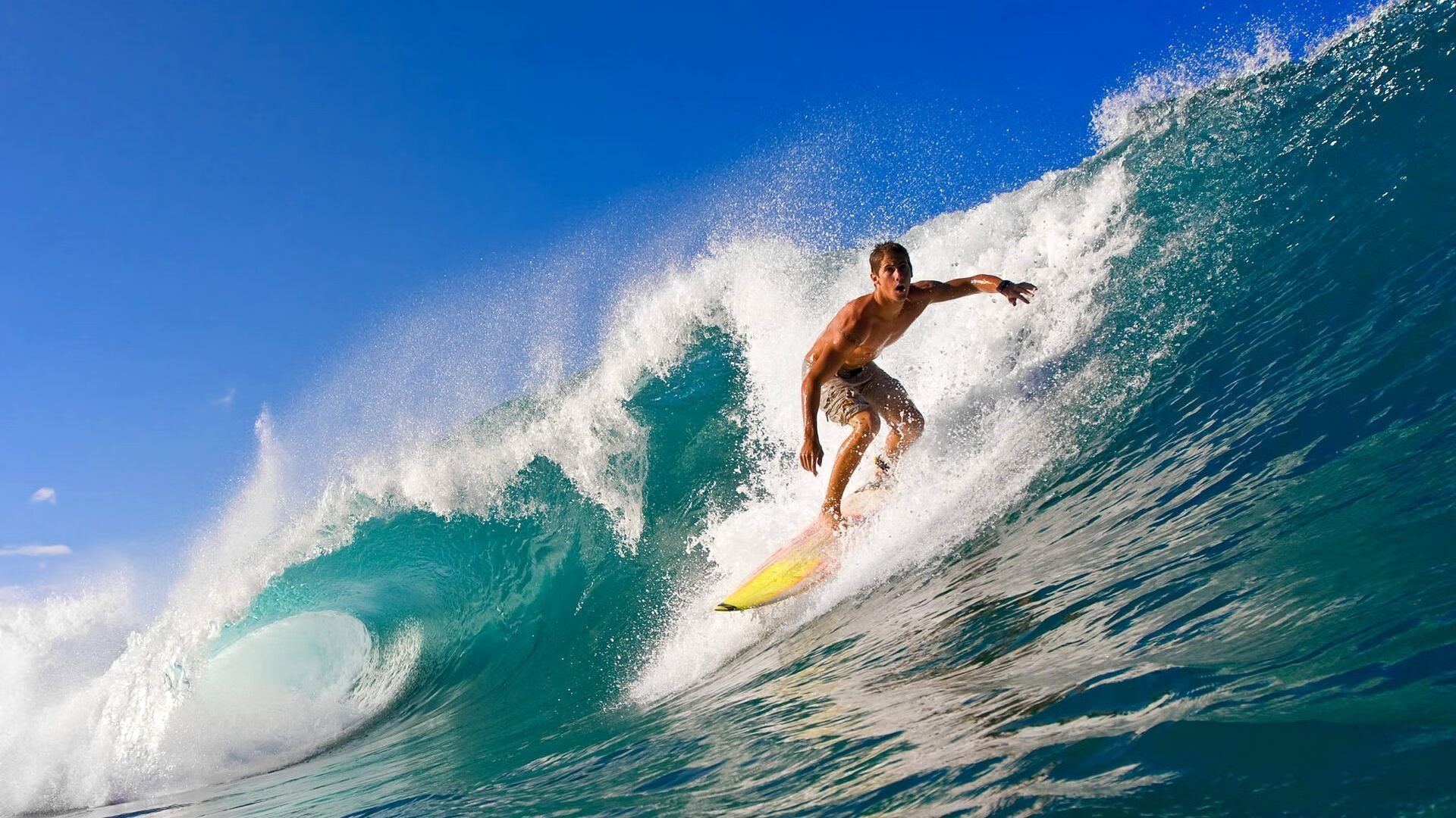 国际合作:多国代表共同打造纯净比赛环境