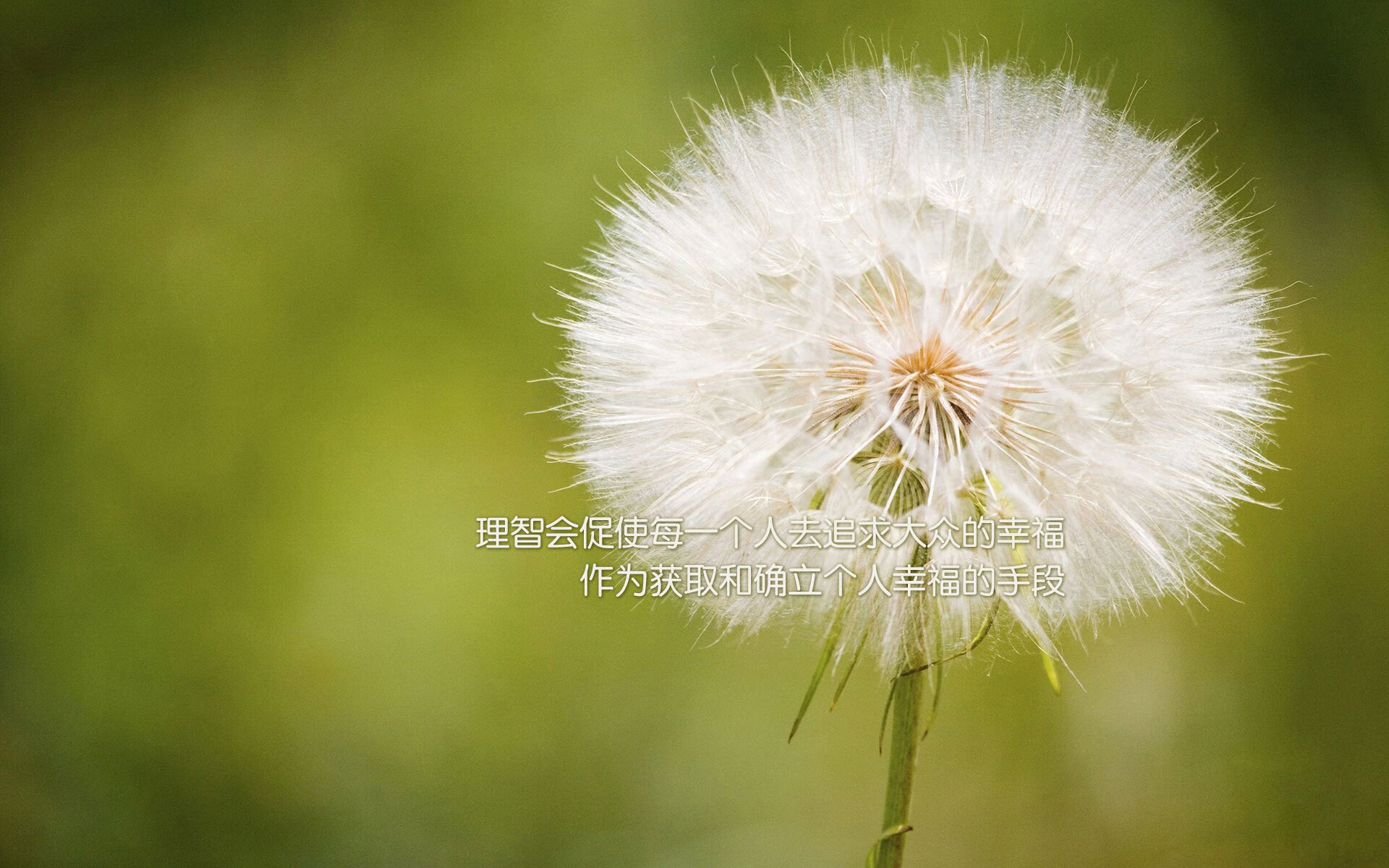 山林深度穿越赛,感受原生态的运动魅力,穿越山林生活