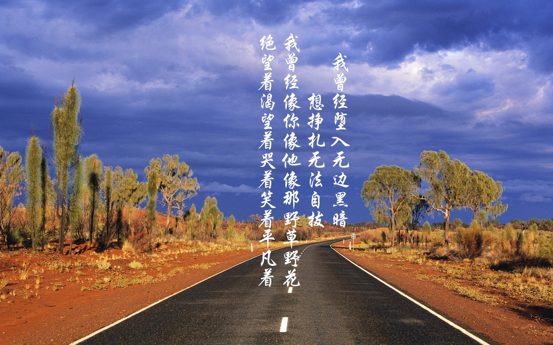 日本马术协会与美洲马术协会合作，举办国际马术交流活动，促进文化互鉴。