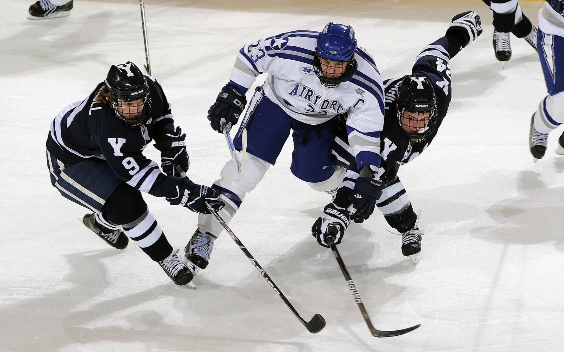 热火社区开放日球员与球迷零距离互动，热火队论坛