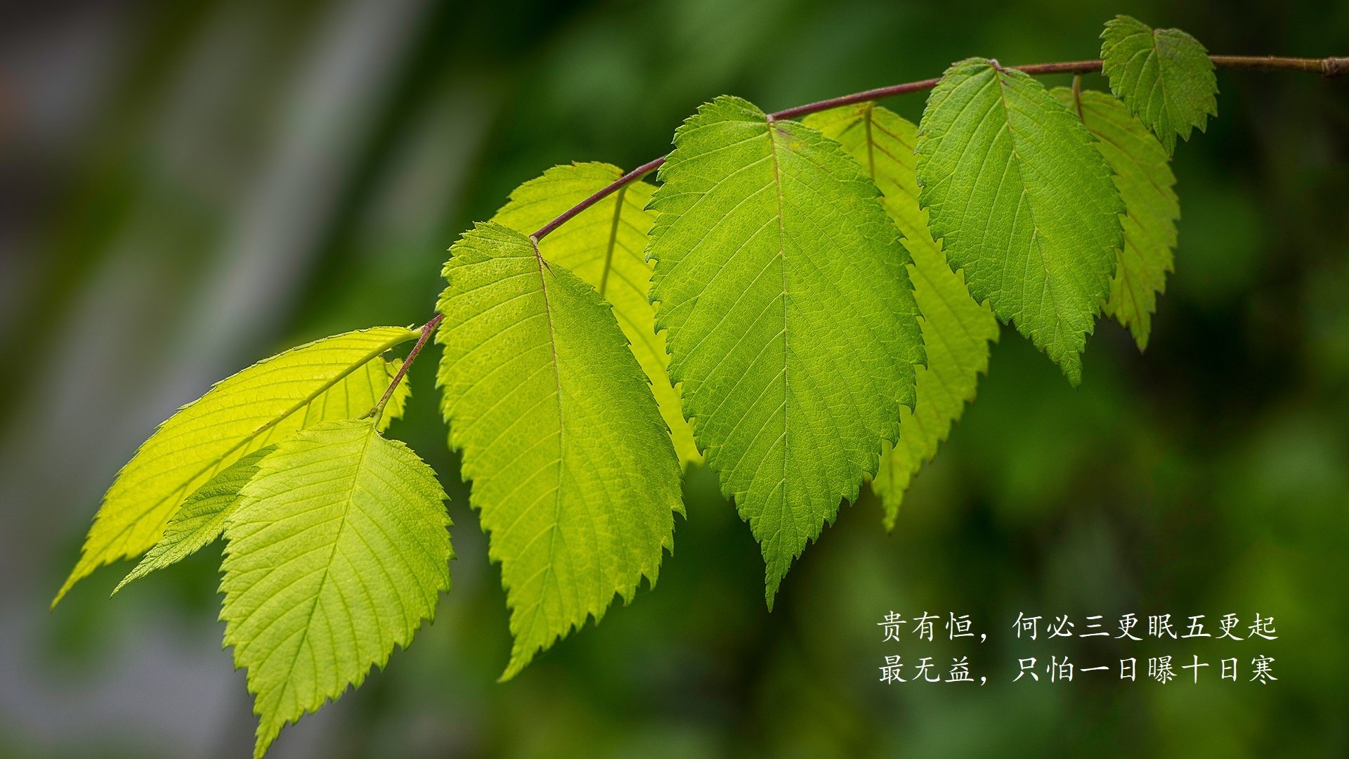 _国际比赛中出现的趣闻趣事集锦_,趣味比赛名称