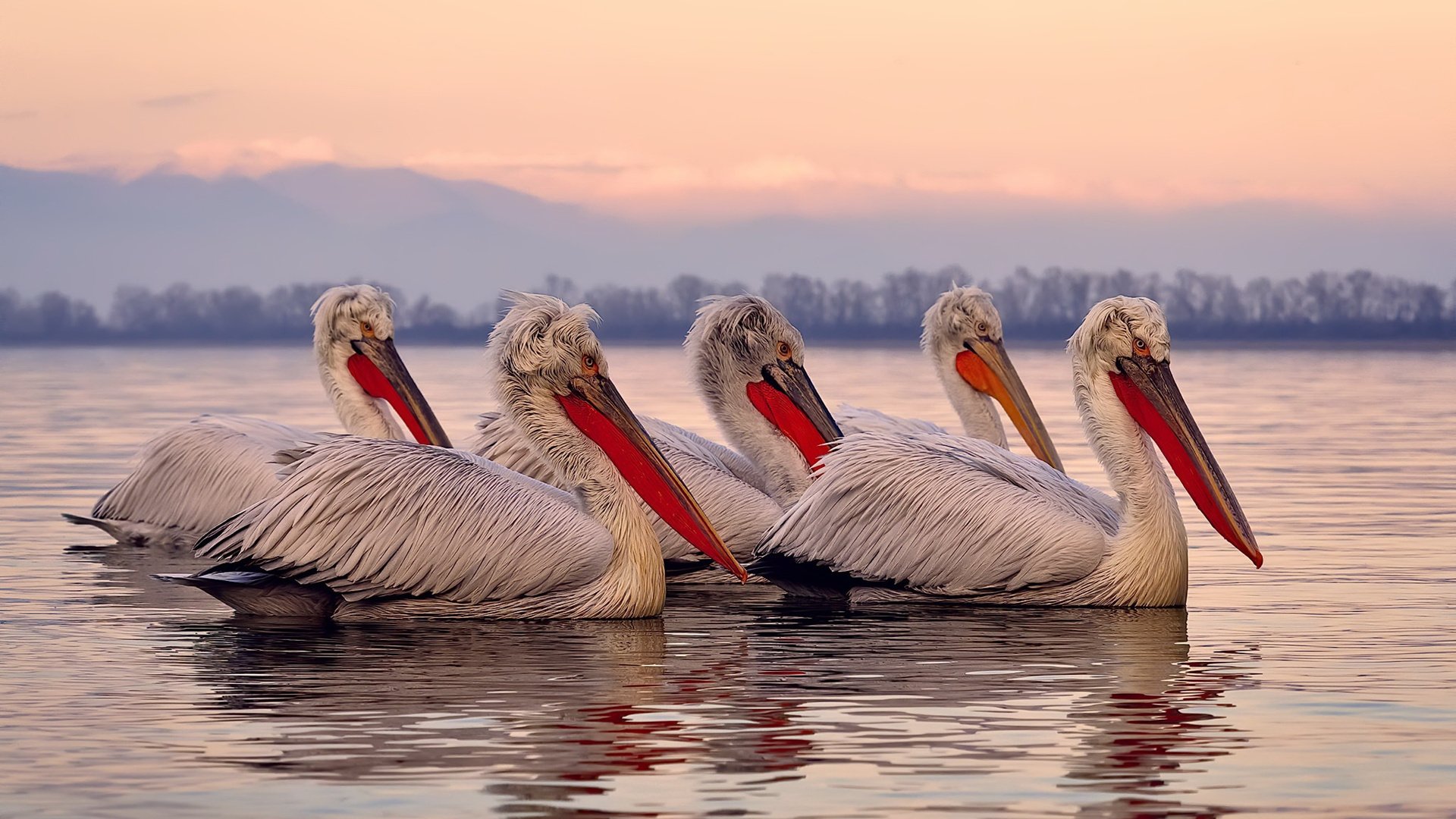 【体育精神】赛场上的公平与竞争，体现比赛的公平性